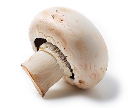 pieczarka