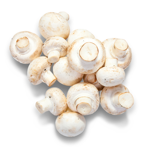 pieczarki